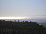 P1016488.JPG