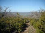 DSCF0882.JPG