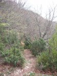 DSCF0891.JPG