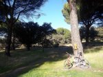 boadilla23112011.jpg