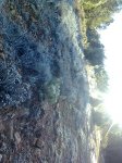 Imagen0796.jpg