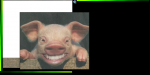 imagehandler.ashx.png