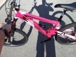 patriot pink p1.jpg