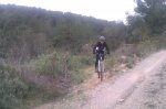 IMAG0199.jpg