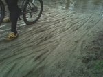Imagen068.jpg