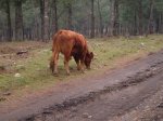 2007_0204_124113.JPG