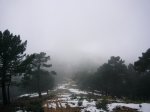 P0000008_redimensionar.JPG