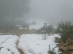P0000012_redimensionar.JPG