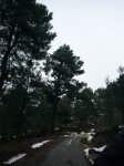 P0000018_redimensionar.JPG