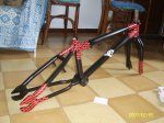 SV101226.JPG