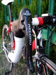 Boonen1681.jpg