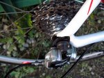 Boonen1691.jpg