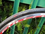 Fulcrum Racing 5 Revolution.jpg