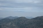 1077-1.jpg