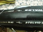 stelvio2.jpg