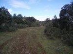xP2030287.JPG