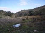 xP2030294.JPG
