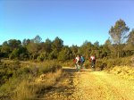 Imagen0792.jpg
