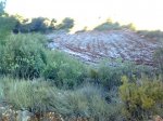 Imagen0794.jpg