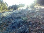 Imagen0796.jpg