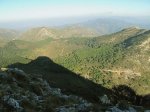 IMG_4546.jpg
