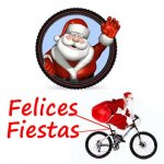 FELICES FIESTAS.jpg