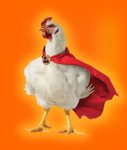 pollo.jpg