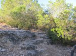IMG_2476 (Copiar).JPG