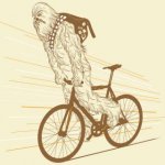 bici chewaka.jpg