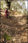 1-cmjavi.jpg