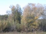 PC240003.JPG