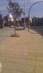 IMAG0226.jpg