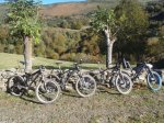 PA300884 (Copiar)_800x600.jpg