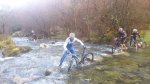 DSC_0532.jpg