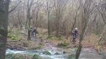 DSC_0522.jpg