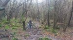DSC_0520.jpg