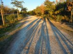 DSCN1049-1.JPG