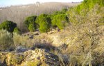 DSCN3710.JPG