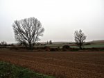 PC230018.jpg