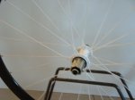 DSC02223.JPG