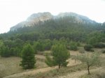 Xorret de cati2.JPG