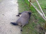 27122011111.jpg