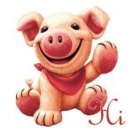 IF3DE2JR2CX315SY.jpg