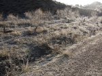 Ruta%u0025252520Inocente%25252002.jpg