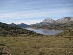 IMG_3917.jpg