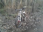 2011-12-28 15.44.47-red.JPG
