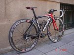 Cerv&#233;lo vendo.JPG