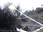 DSCF4566.JPG