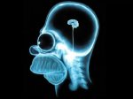 homer-brain.jpg