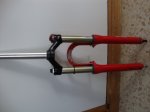 DSC02576.jpg